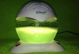 Prowin air bowl- inhaltsstoffe - erfahrungsberichte - bewertungen