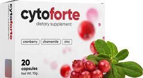 Cyto Forte - forum - bestellen - bei Amazon - preis